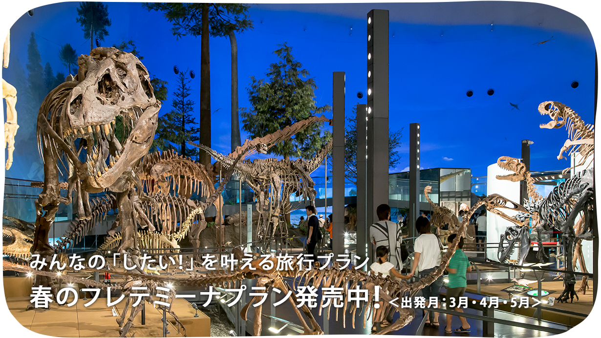 秋・冬のフレテミーナプラン発売中