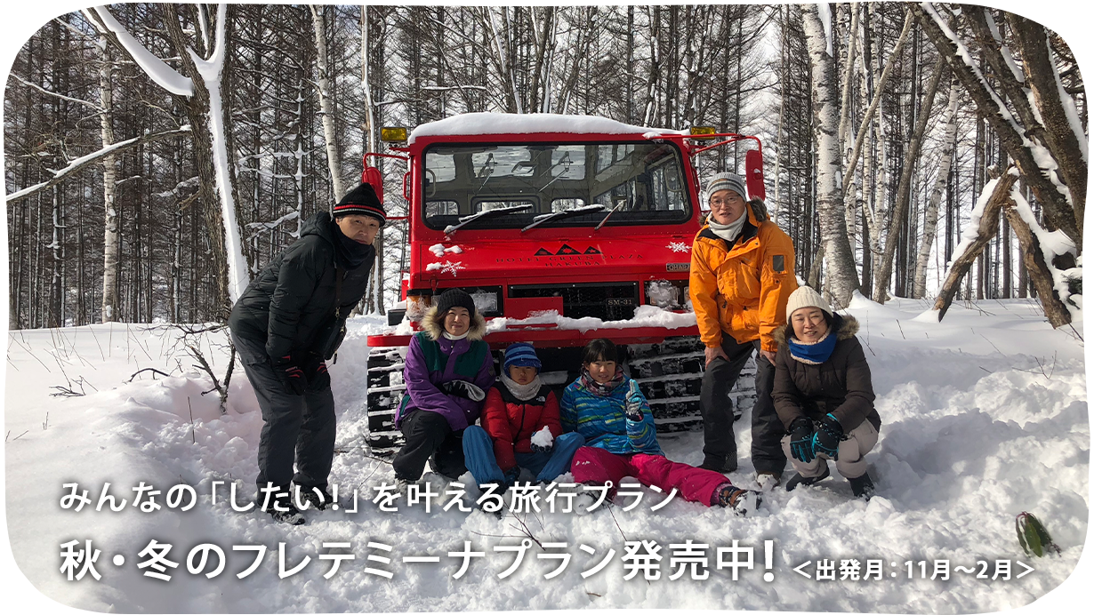 秋・冬のフレテミーナプラン発売中