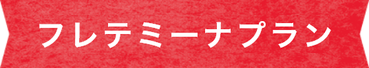フレテミーナプラン