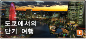 도쿄에서의 단기 여행