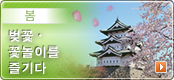 봄-벚꽃・꽃놀이를 즐기다
