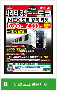 N'EX 도쿄 왕복 티켓