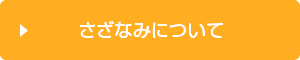 さざなみについて