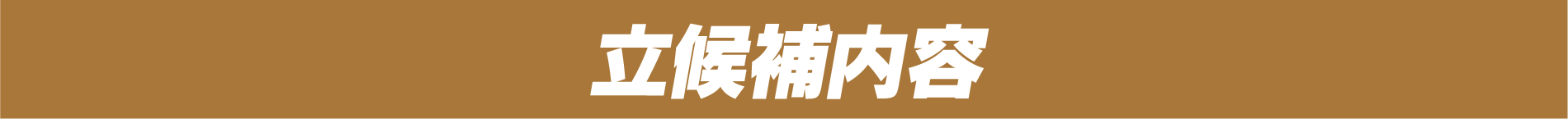 立候補内容