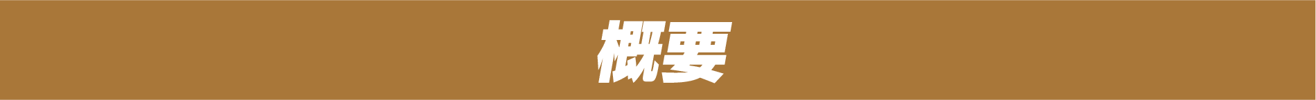 概要