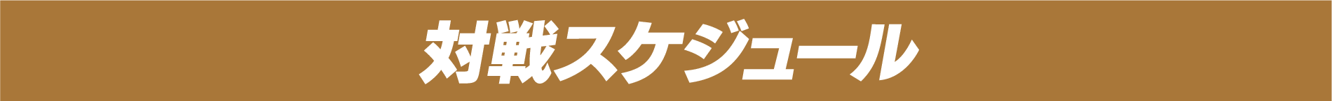対戦スケジュール