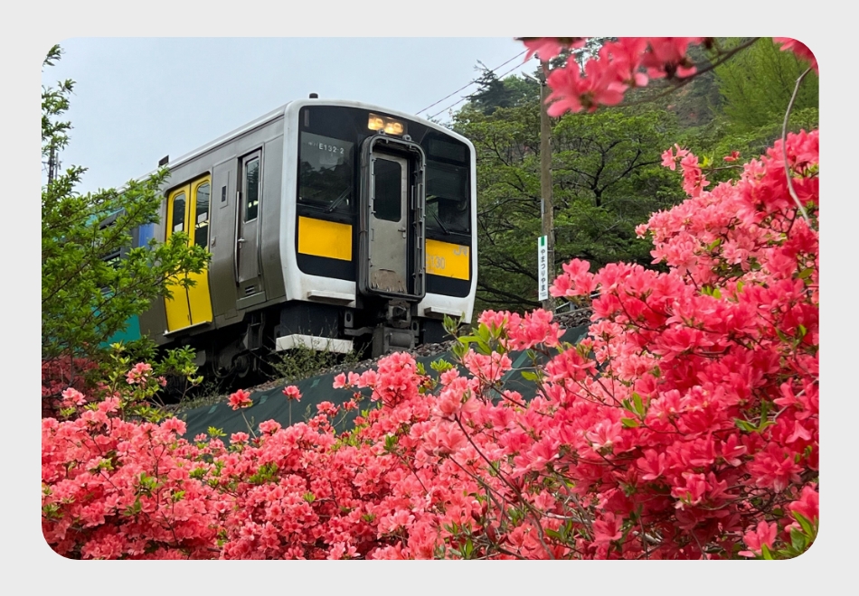矢祭山公園