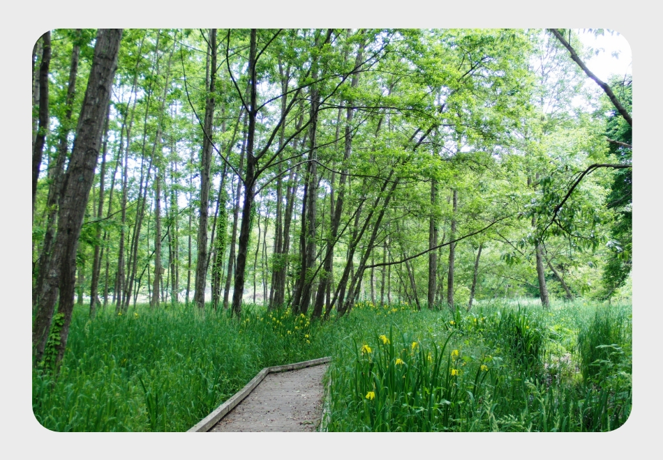 清水洞の上公園