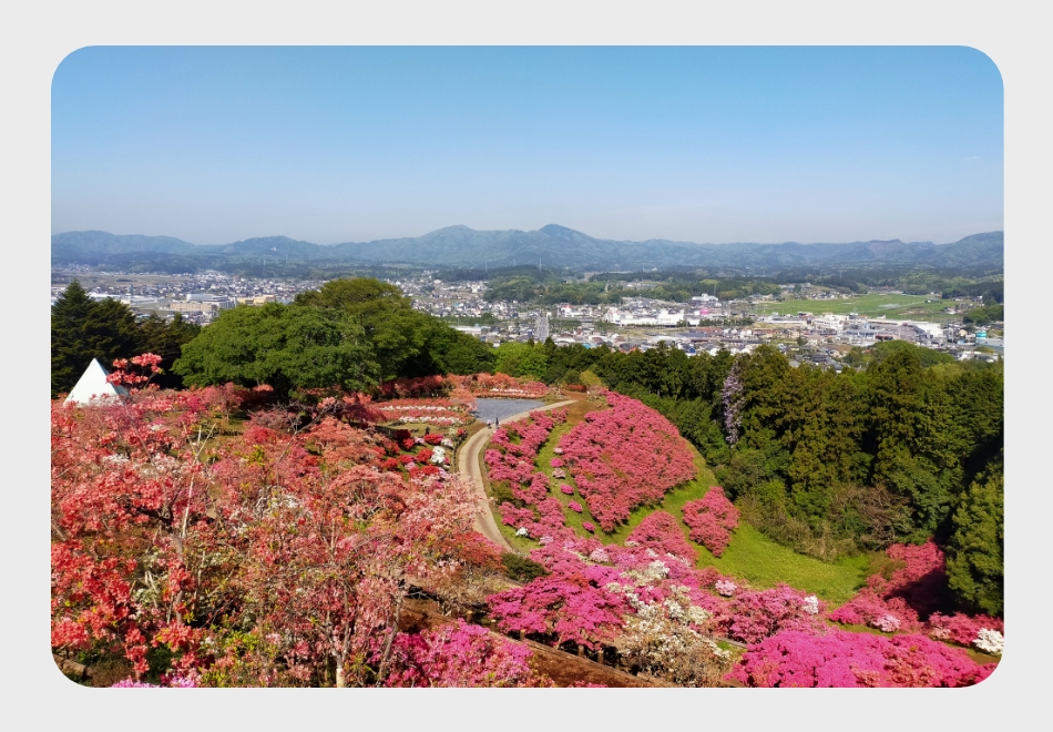笠間市立つつじ公園