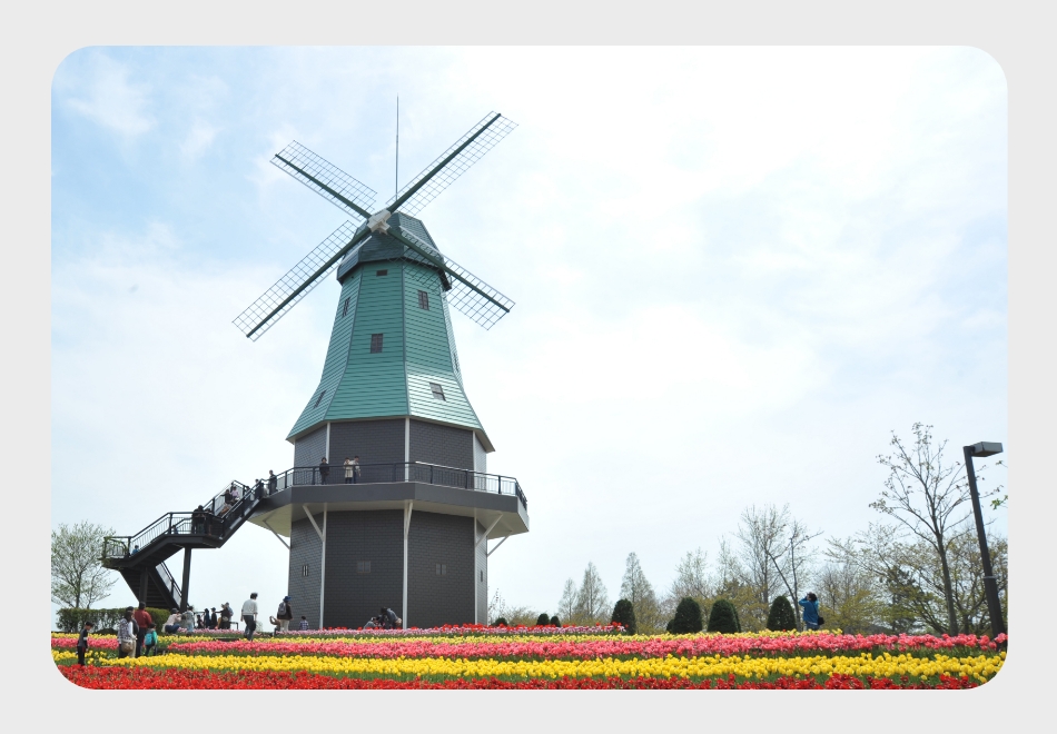 霞ヶ浦総合公園