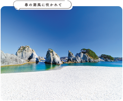 春の潮風に吹かれて 浄土ヶ浜の写真
