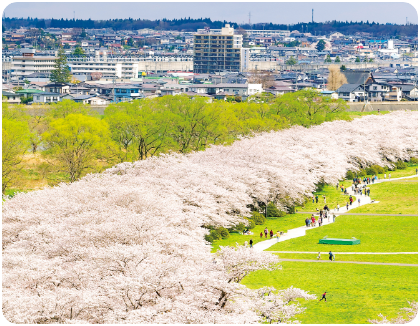 北上展勝地の桜の写真