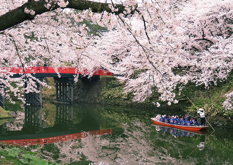 「弘前さくらまつり」の期間は、ボートや小舟に乗ってお掘から桜を眺めることができる。