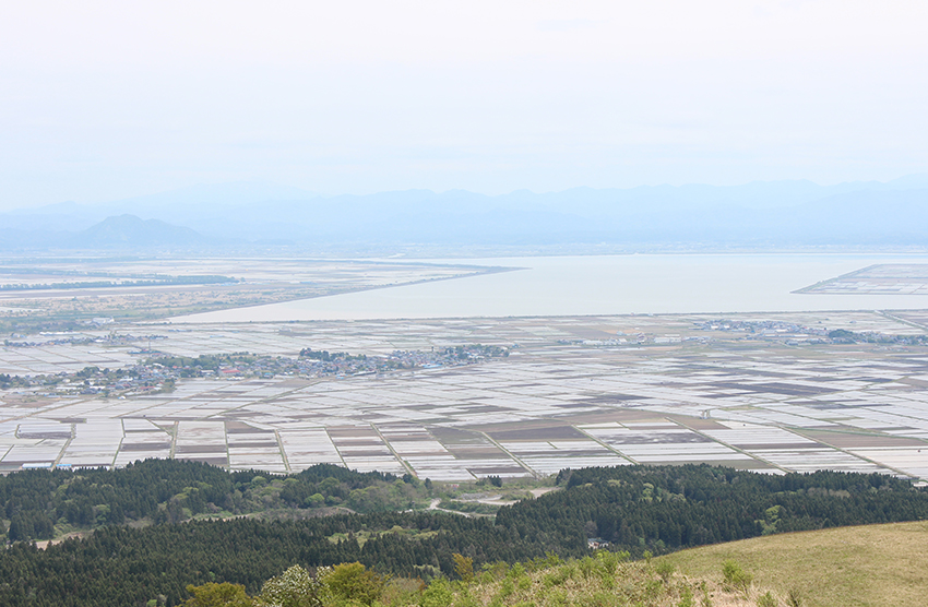 棋盤狀的水田風景