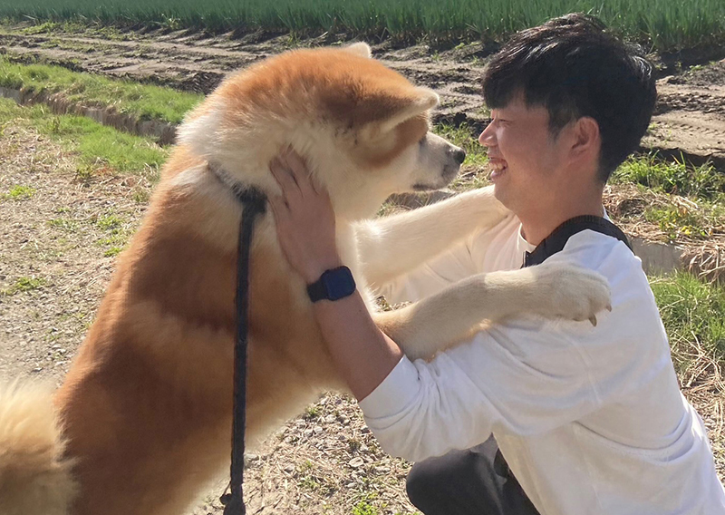 秋田犬