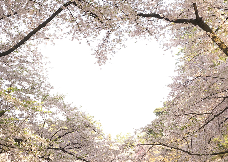 Hirosaki Park