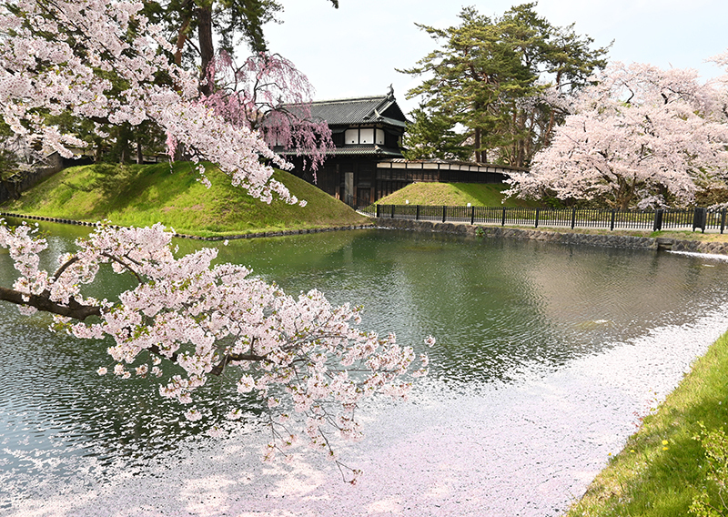 Hirosaki Park