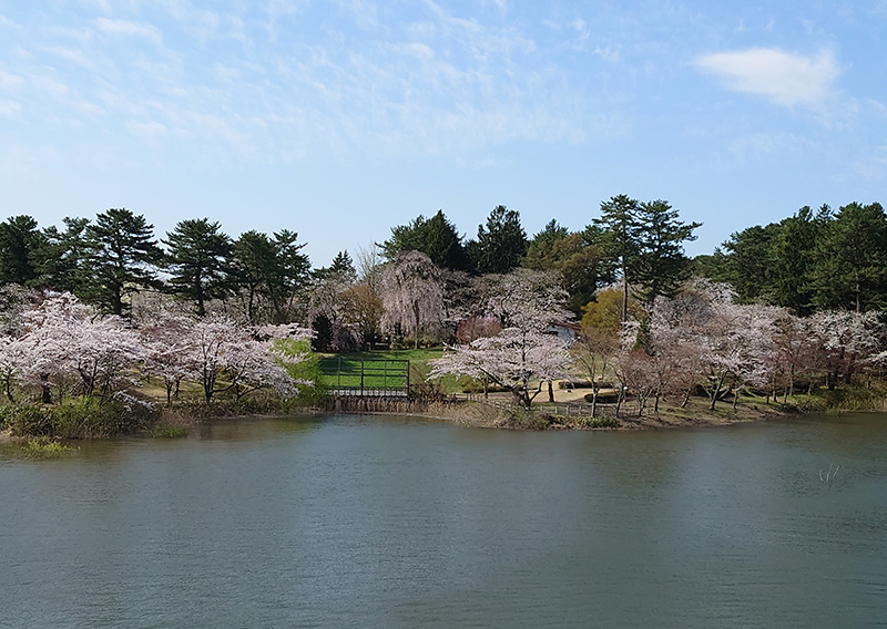 Ashino Park