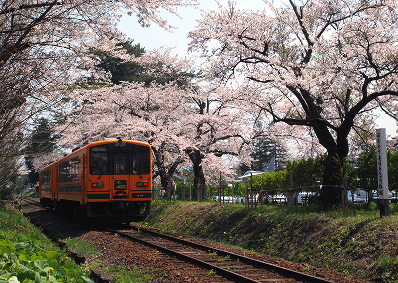 Ashino Park
