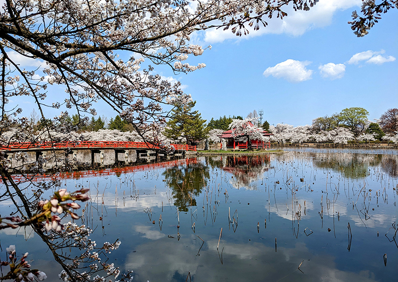 Saruka Park