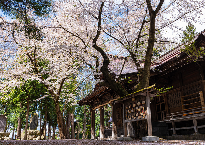 Saruka Park
