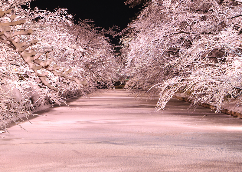 Hirosaki Park