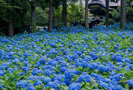 雲昌寺