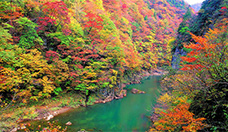 Picture of Dakigaeri Valley