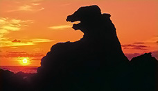 Photo du rocher de Godzilla
