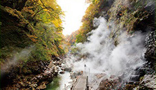 Picture of Oyasukyo Valley