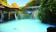 Fotografía del onsen Tsuru no yu del pueblo de aguas termales onsen de Nyuto