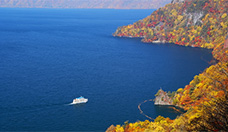 Picture of Lake Towada