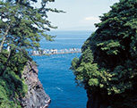 Picture of Izu