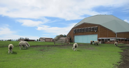 Mother Farm