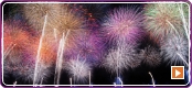 夏：花火特集