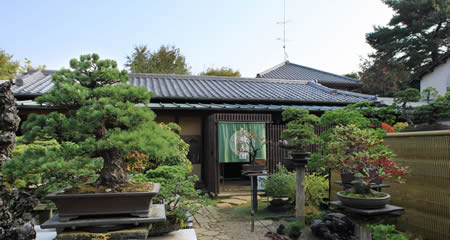 Omiya Bonsai Village