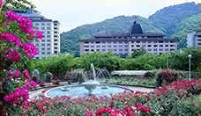 Fotografía del pueblo de aguas termales onsen de Hanamaki