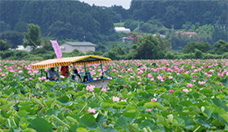 Fotografía del lago de Izu