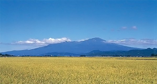 Fotografía de la marca de arroz local Tsuyahime