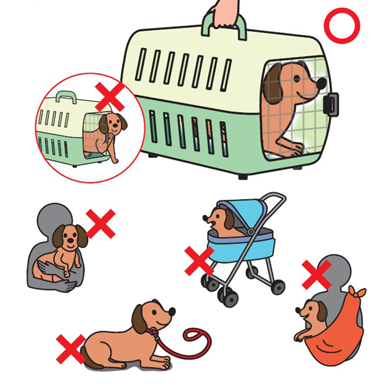 ペットと一緒に乗車