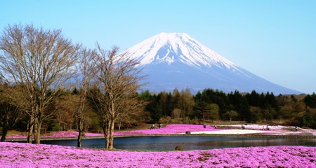 Gunung Fuji merupakan simbol Jepang