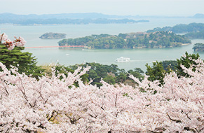 宮城（仙台/松島）照片