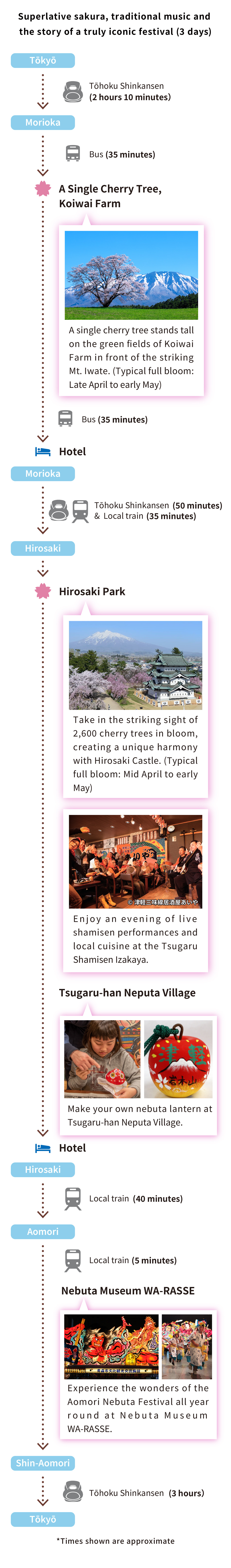 Sakura & Traditional Culture