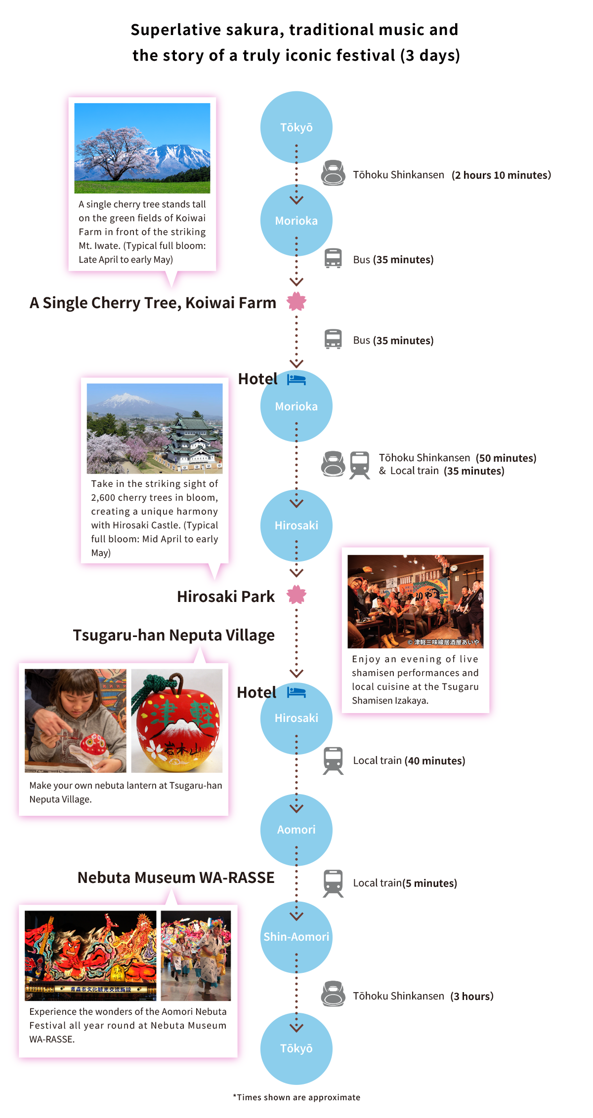 Sakura & Traditional Culture