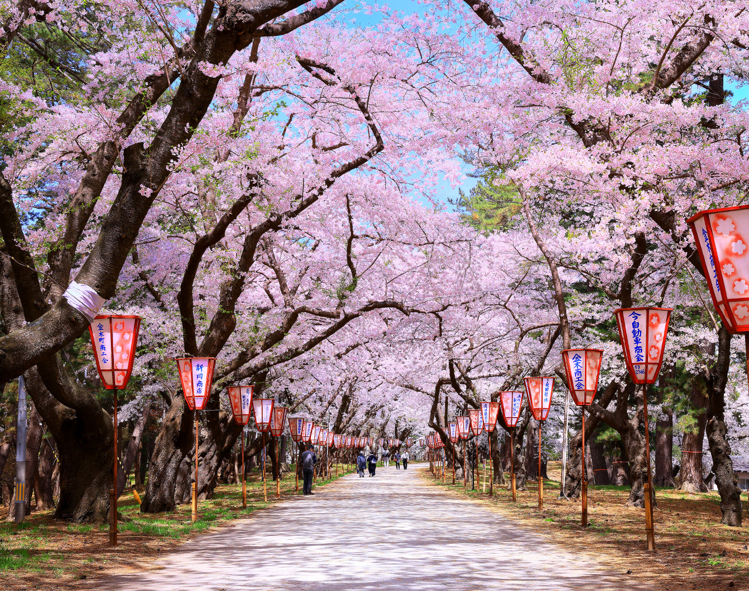Ashino Park