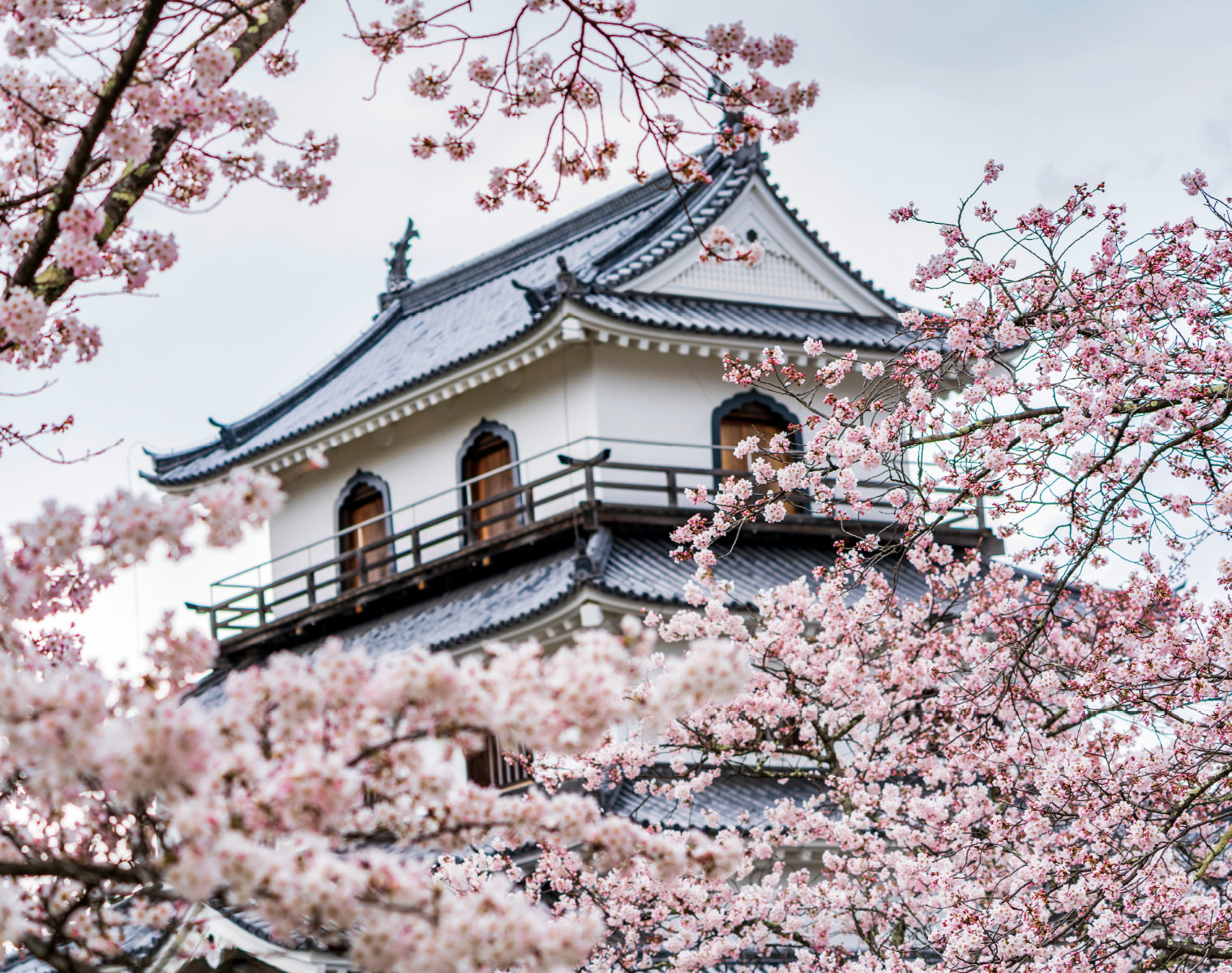 Shiroishi Castle