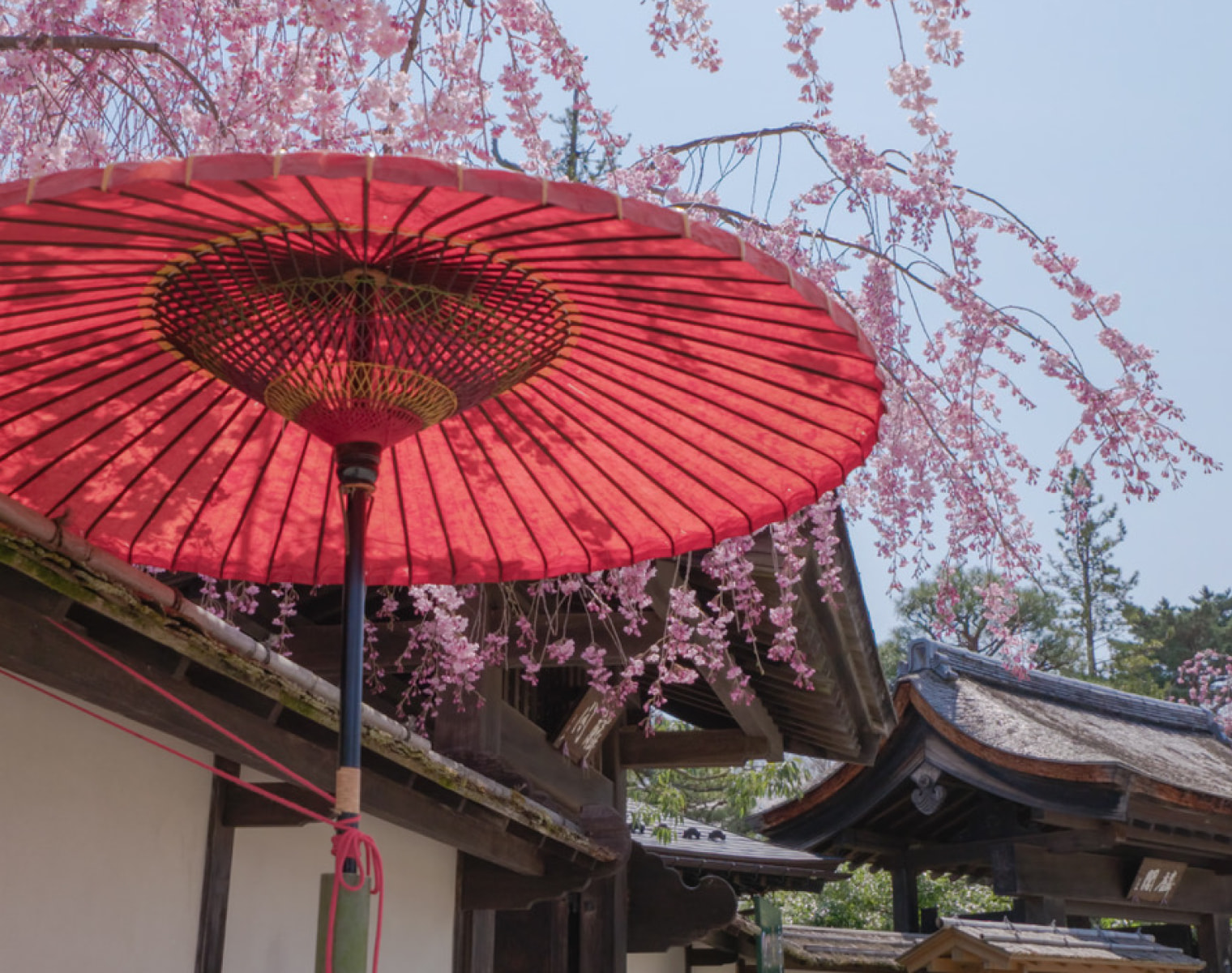 Tsurugajo Park