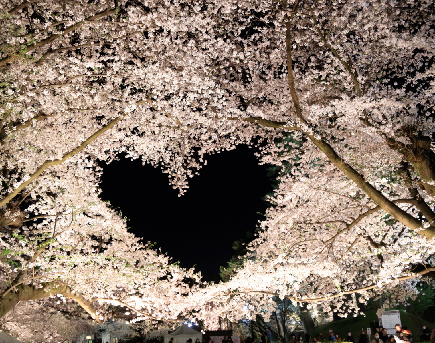 Hirosaki Park