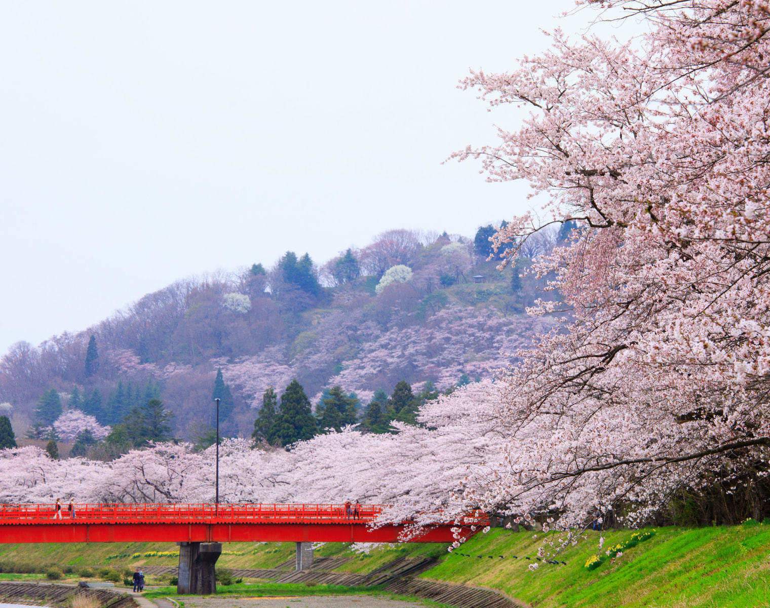 Hinokinai River Embankment