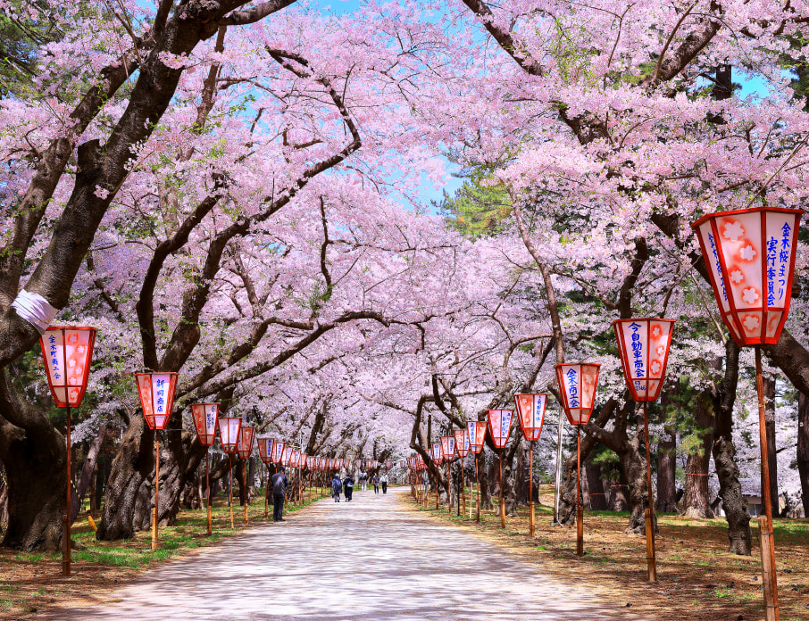 Ashino Park